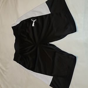 Puma boys athletic shorts large